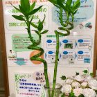 552B0CCE-65E2-4A16-81F8-0CA52E4E50D6