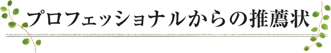 プロフェッショナルの推薦状